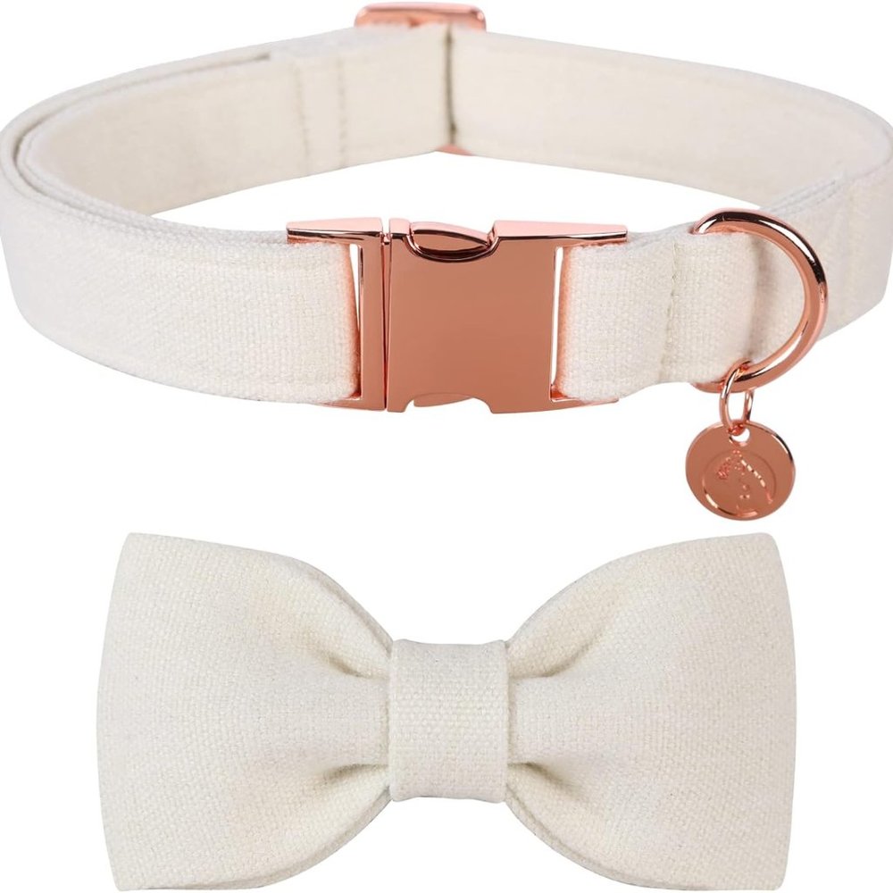 DOGWONG Dog Collar with Bowtie Adjustable White Cotton Fabric - meduim